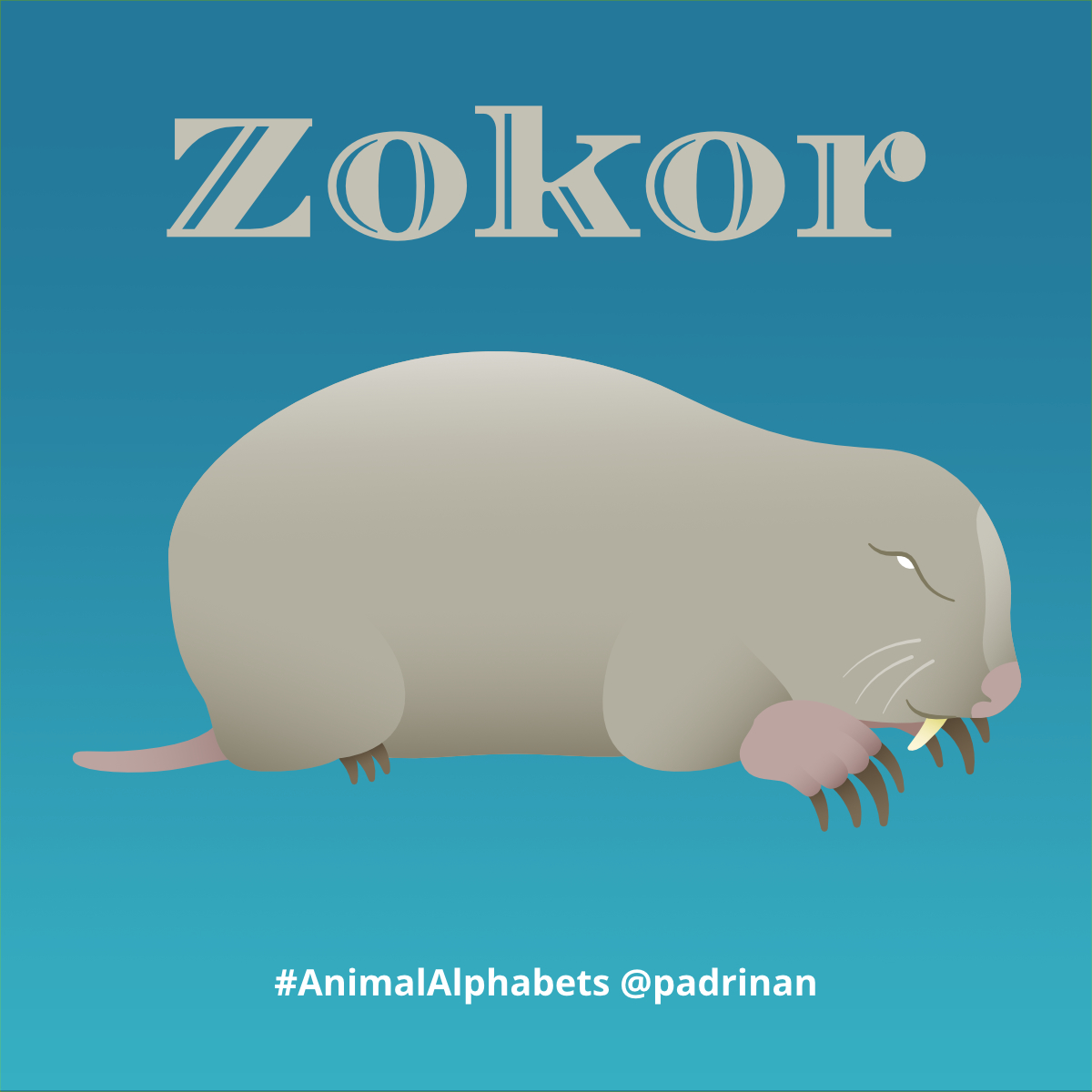 Zokor. <a href="/AnimalAlphabets/">Animal Alphabets</a> #AnimalAlphabets #AnimalIllustrations #vector #vectorart #Zokor.