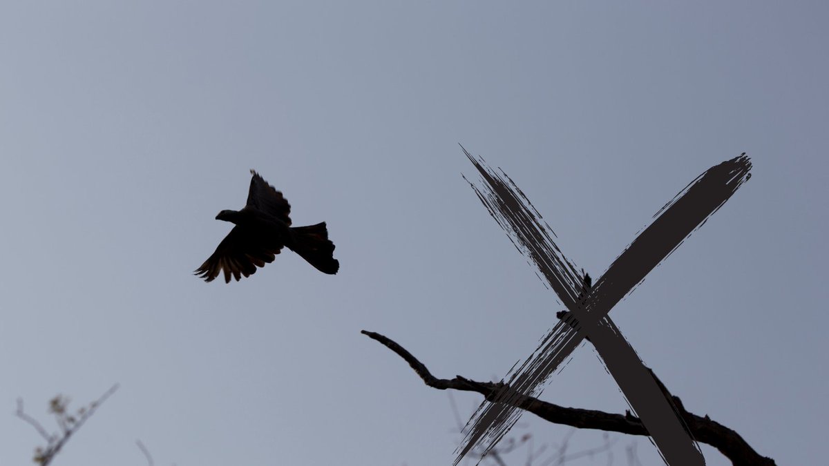 Wir verabschieden uns von X. Ihr findet uns weiterhin auf Instagram (sz_goethe), Facebook und YouTube. Informiert euch über all unsere Angebote auf unserer Website: tinygu.de/Schreibzentrum #ByeByeX