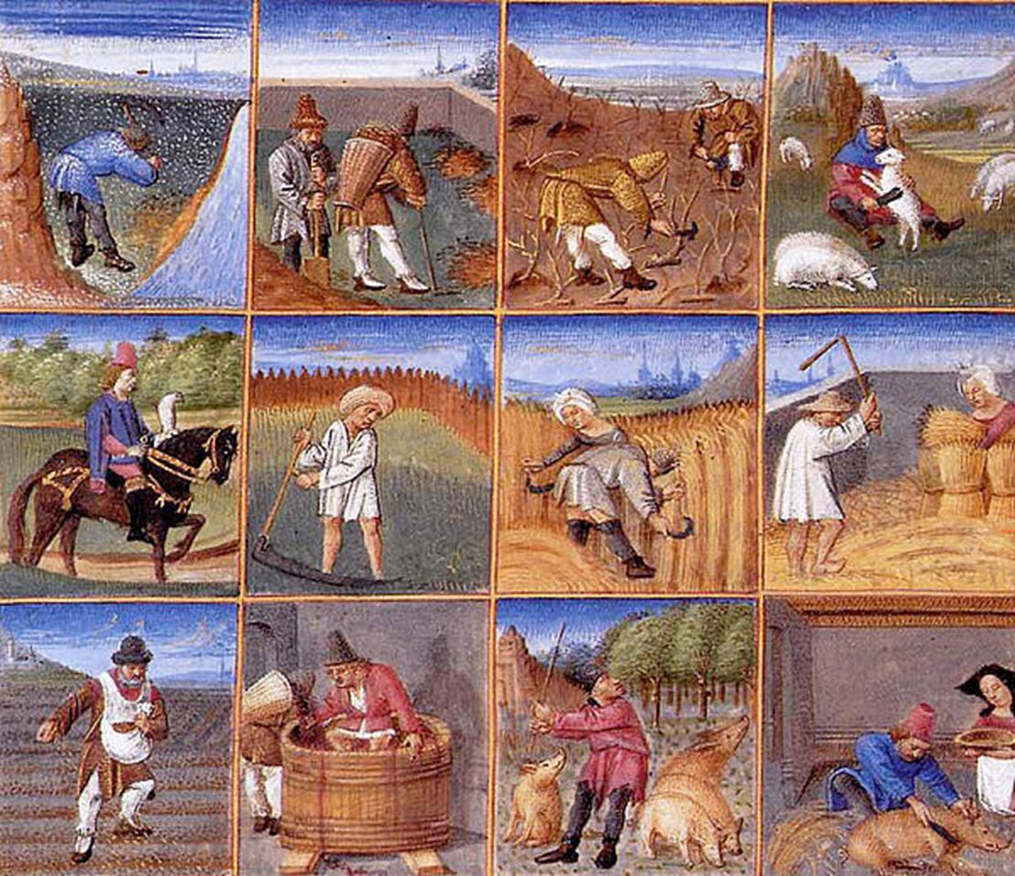 About 12 acres of land were needed to support a large family. Peasants mostly grew rye, wheat, barley, and oats in northern Europe. Peas, beans, and fruits were secondary.