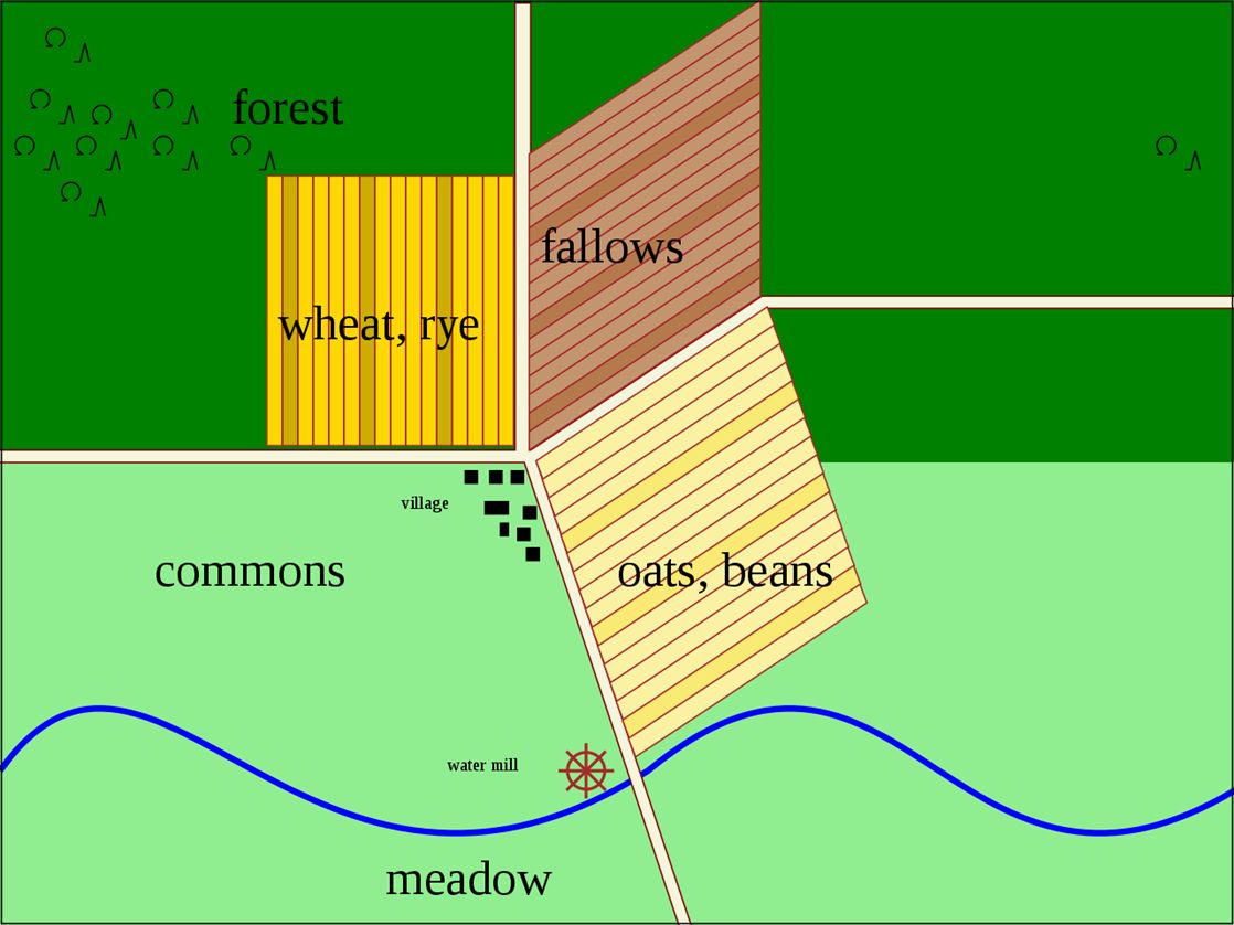 Even with virtually no understanding of soil nutrients or microfauna, Medieval farmers still knew the importance of crop rotation and letting farmland rest fallow. 

Many practices used a three-field rotation of communally-planned fields.