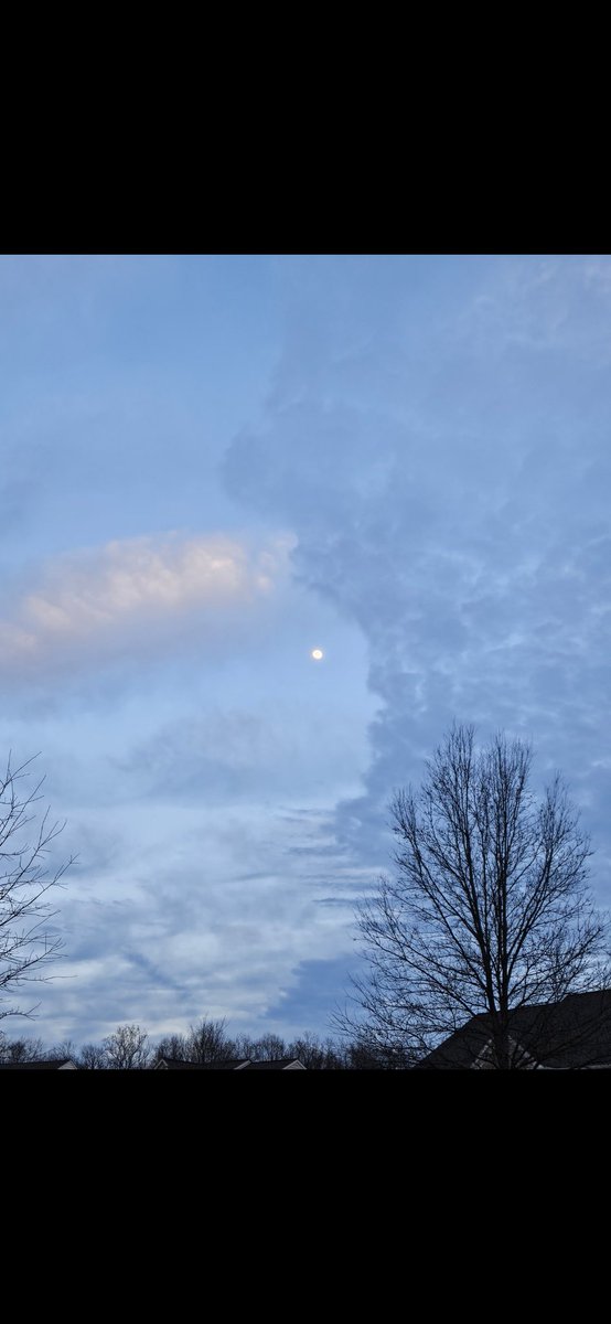 Last night's sky looked like it had a face. I just can't decide if it's human, chicken or fish.