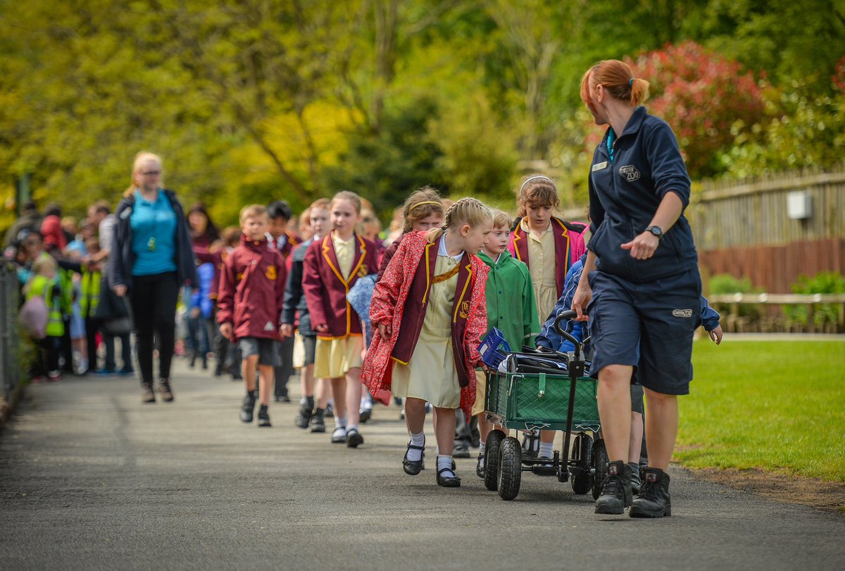 chesterzoo's tweet photo. We’re giving away 32,750 FREE tickets to the zoo! 🚨
 
Schools, nurseries, and colleges across the UK - this is your chance to inspire future conservationists and ignite a passion for helping wildlife thrive! 🌍💚
 
Click to apply! 👉 https://t.co/MW5Q8iXL7M https://t.co/921xwI3j7T