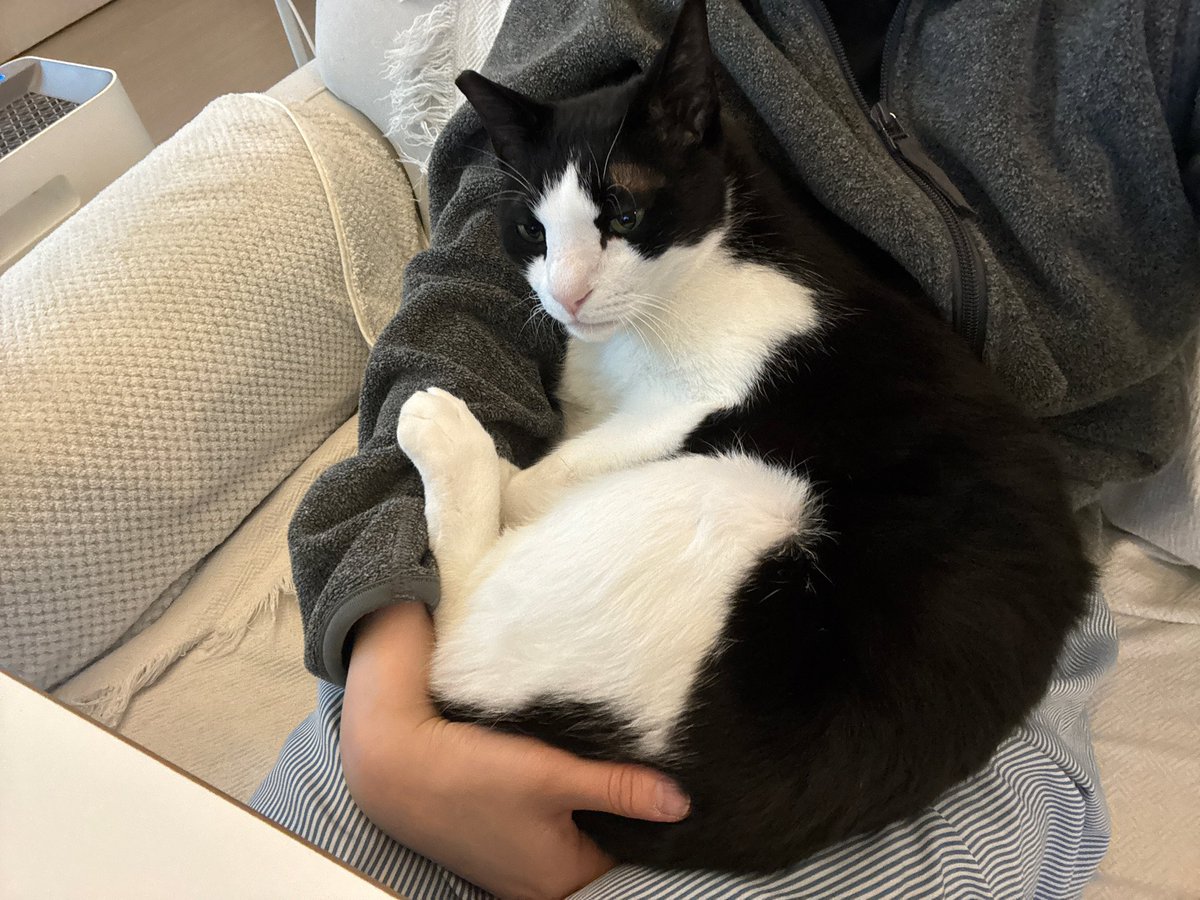 4년 사이 3키로 감량한 고영