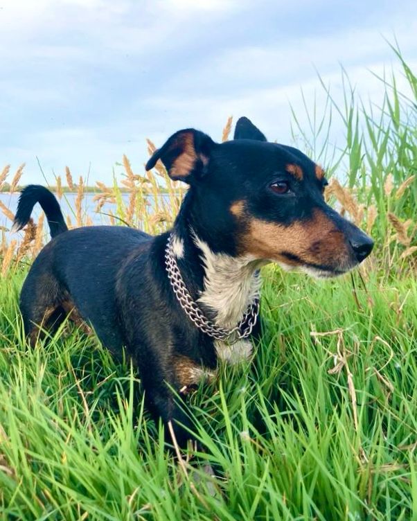 Pep de la Tona tweet media