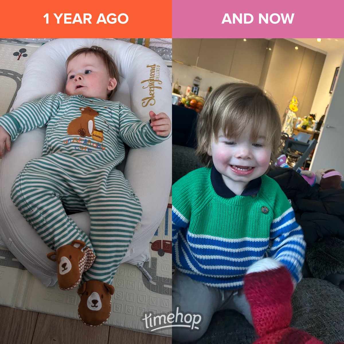 kim walsh (@walshkim) on Twitter photo 