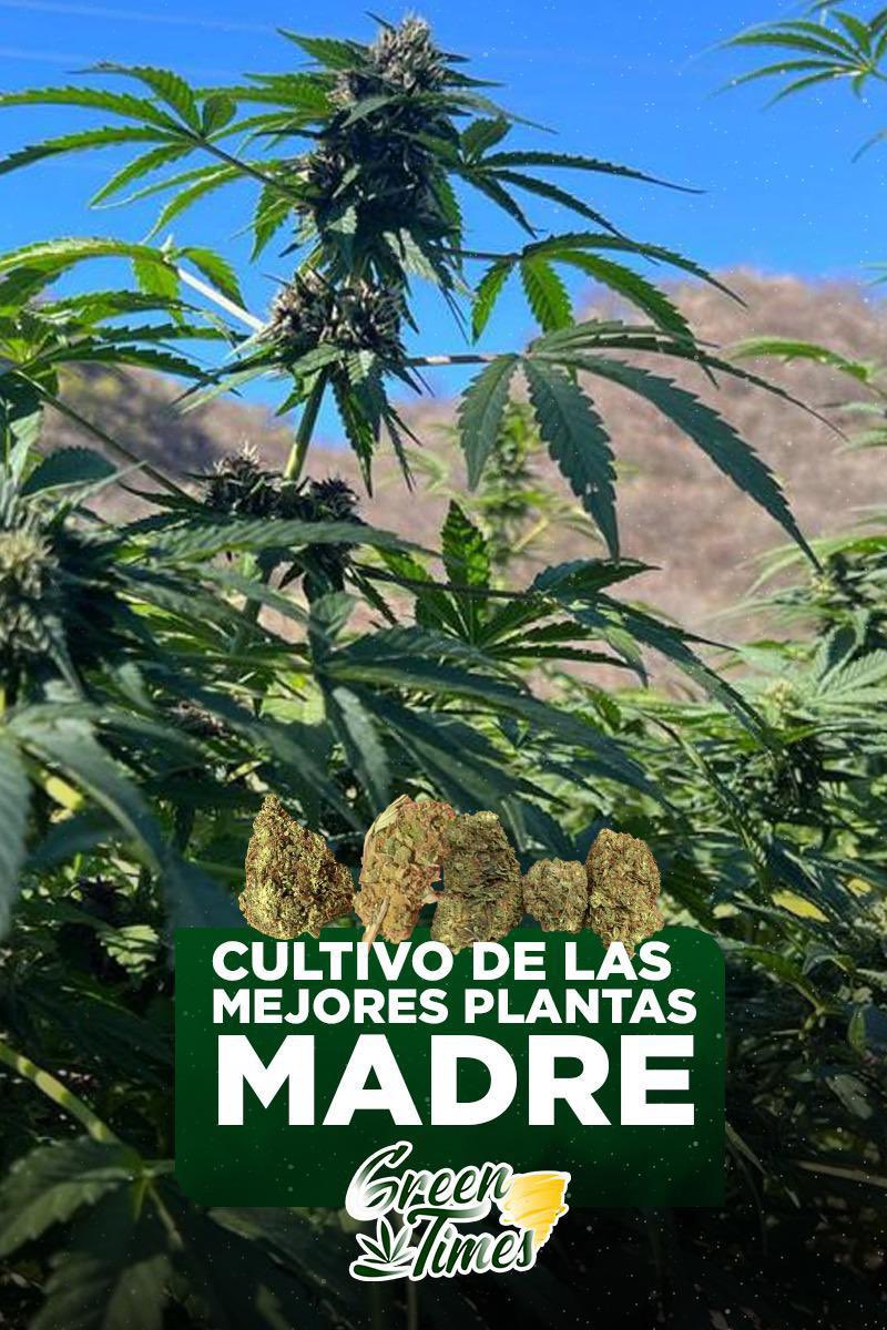 La madre tierra consintiéndonos