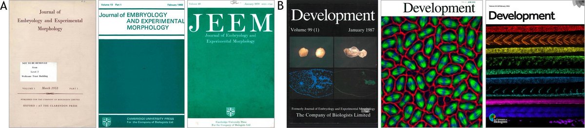 Development (@dev_journal) on Twitter photo Development: a journal's journey
Our publisher <a href="/Co_Biologists/">The Company of Biologists</a> is celebrating its 100th birthday. Commemorating this anniversary, Senior Editor Alex Eve discusses Development's history since launching as Journal of Embryology and Experimental Morphology
doi.org/10.1242/dev.20… Development: a journal's journey
Our publisher <a href="/Co_Biologists/">The Company of Biologists</a> is celebrating its 100th birthday. Commemorating this anniversary, Senior Editor Alex Eve discusses Development's history since launching as Journal of Embryology and Experimental Morphology
doi.org/10.1242/dev.20…