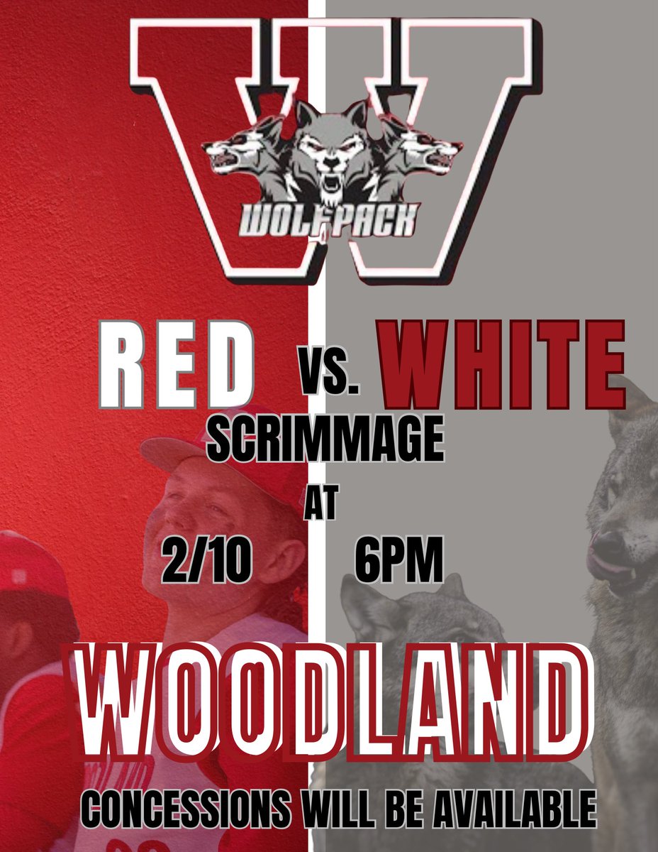 Come watch the pack work.