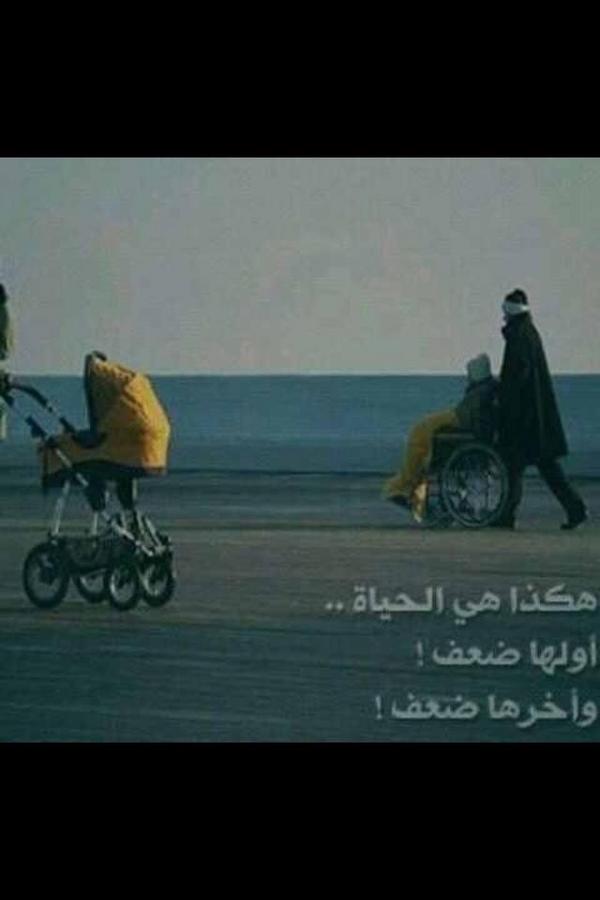 Alkinani249's tweet photo. هـــكــــذا الــدنــيـــا تـــدور فـلــنــطــلــب ربــنــا الـغــفــور فــمــا هـــي إلا أيـــام و شـــهـــور ثــم نــصــبـح مــن أهـــل الــقــبــور .🥺❤️

🍃 سبحان الله 🍃 https://t.co/pfrN9KhBSz