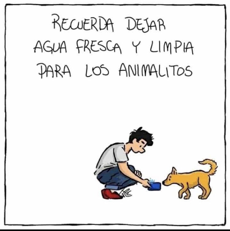 🚨Los animales deben estar a la sombra y con agua fresa🚨