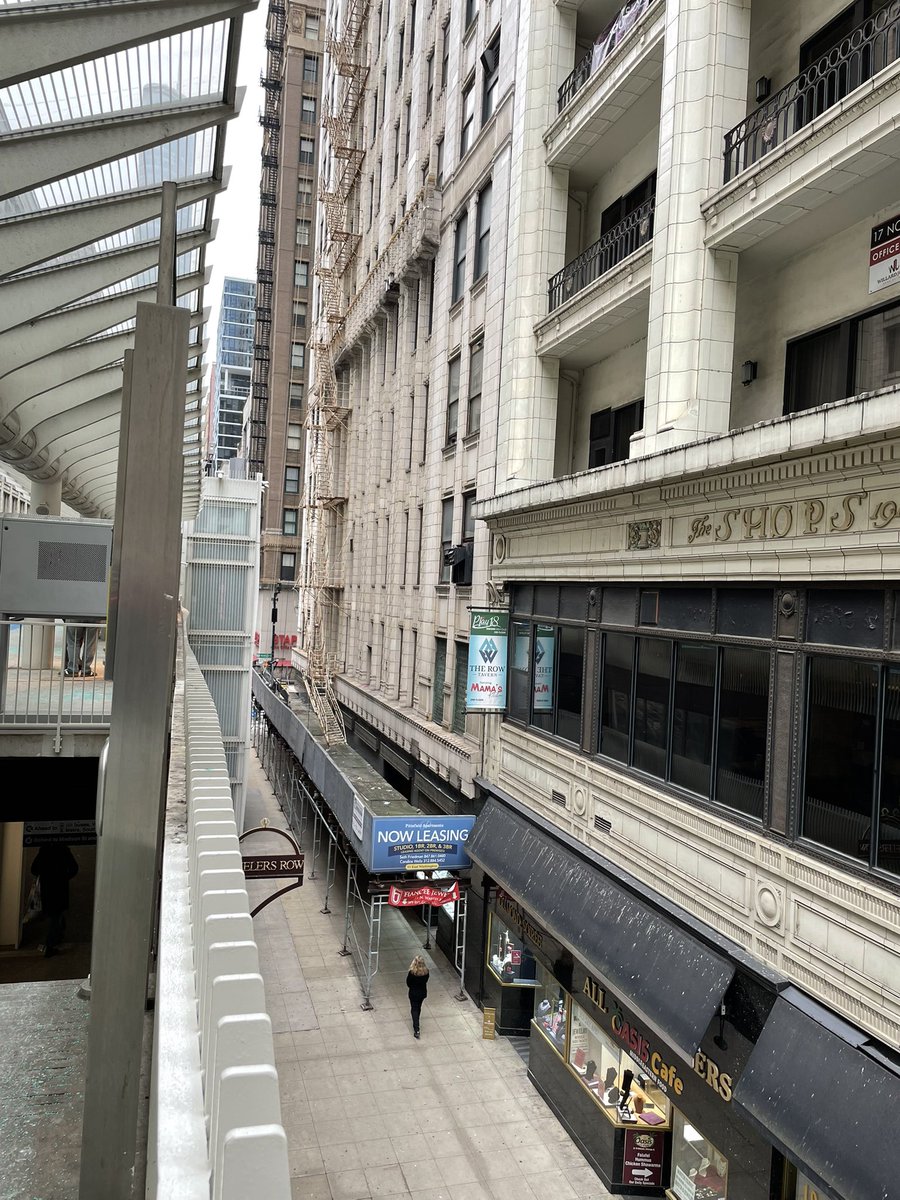 bearsbite's tweet image. life outside of twt :3