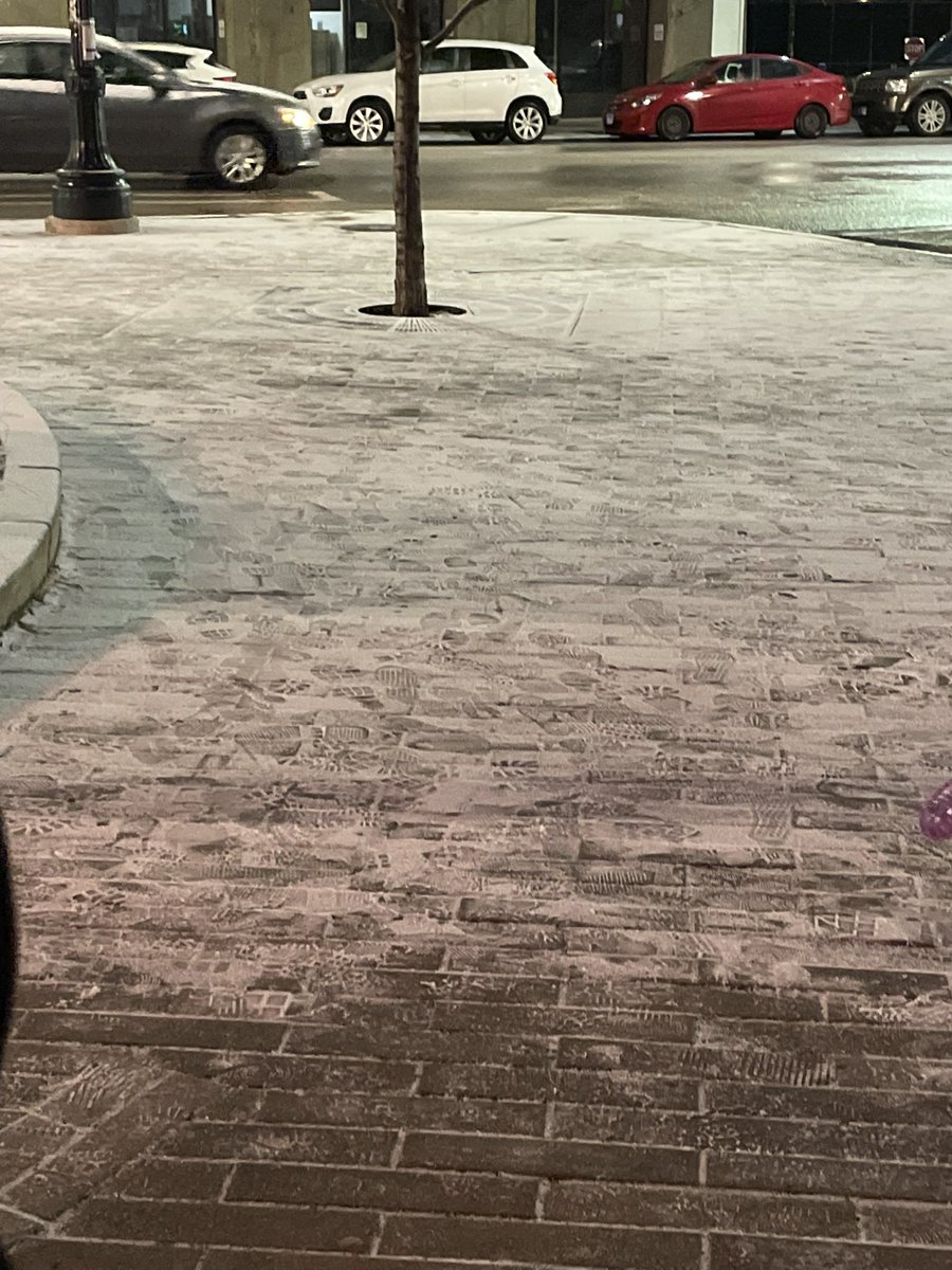 bearsbite's tweet image. life outside of twt :3