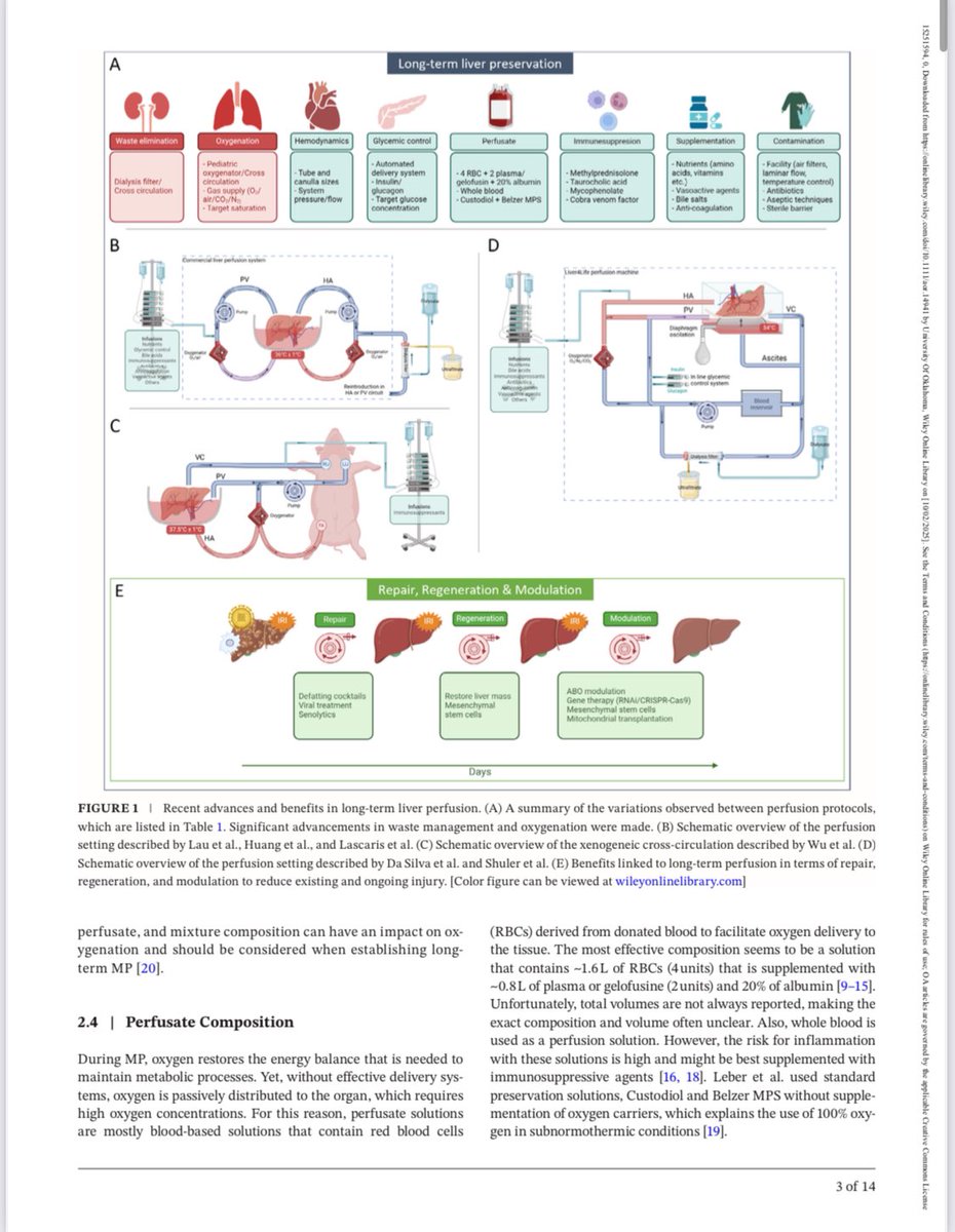 Paulo Martins MD, PhD, FACS tweet media