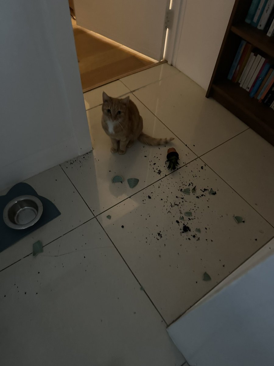 Zoë Paramour tweet media