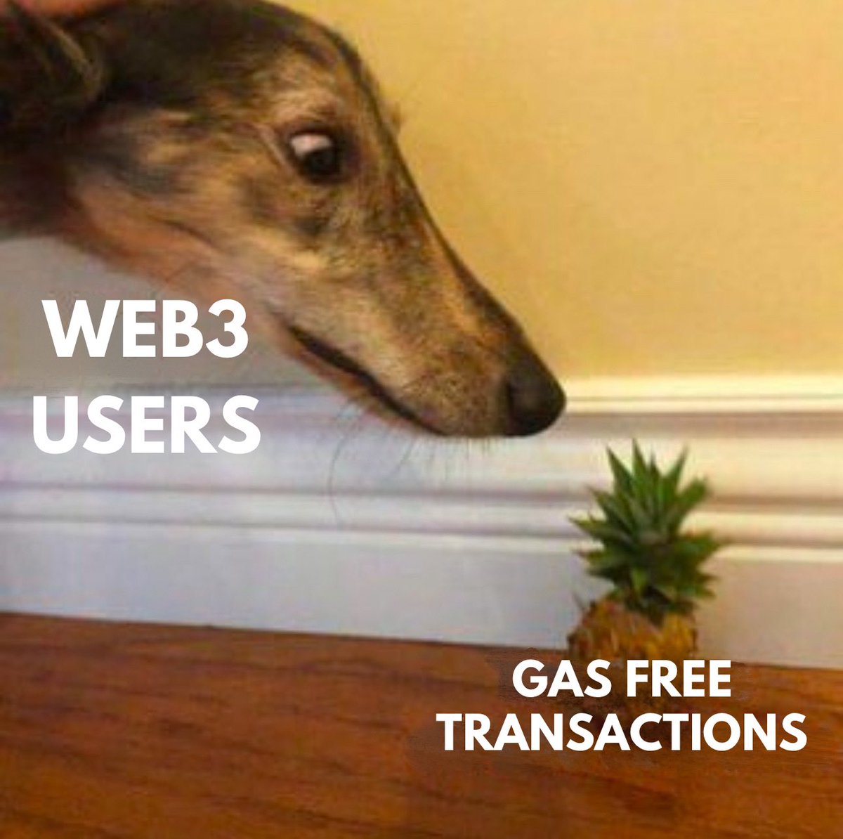 iFalcore's tweet photo. GM! 👋 

Remember, for mass adoption we need to remove all friction, especially gas fees…

Good thing @SkaleNetwork has 0 😍 https://t.co/AJx7vlucAs