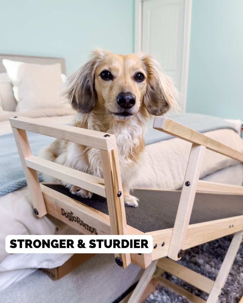 DoggoRamps's tweet photo. Our bestseller just got even better!👀 Introducing our new and improved Small Bed Ramp Safety Rails!

They're:
✅Two-tiered to eliminate gaps
✅Stronger &amp; sturdier
✅Designed to help prevent shortcut jumping &amp; falls

👉Now included with every Small Bed Ramp! #dogs #doggoramps https://t.co/BWft7dY2T3