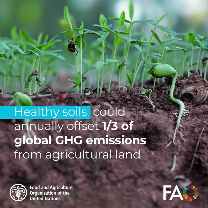 💡Agrifood systems play a fundamental role in Climate Action. 

🌍🌱Reversing soil degradation is vital if we want to feed a growing global population, protect #biodiversity &amp; help address the planet’s climate crisis! 

via <a href="/FAOclimate/">FAO Climate Change & Biodiversity</a>