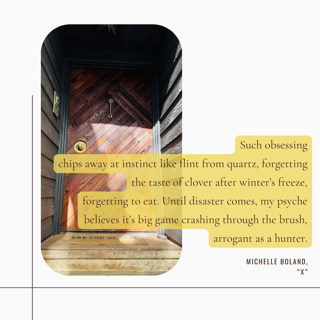 MudRoomMag's tweet image. Okay, but have you read Michelle Boland&apos;s &quot;X&quot; yet? Check it out here: buff.ly/3BSMyKr