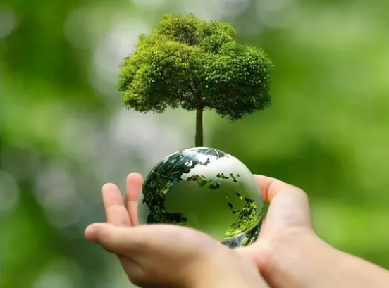 🪴 "Mettere in pratica la neutralità climatica"
📆 12 febbraio alle 18:00
🚀 presso Torino Urban Lab

Non perderti questo incontro sulla #climateneutrality

(Nel quadro del progetto <a href="/Climaborough/">CLIMABOROUGH-Horizon Europe</a>, finanziato dal programma Horizon Europe)

Ingresso libero!

#climate #green