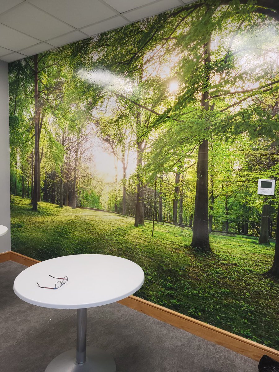 McLoughlinSon's tweet image. Just a small one today , applying a decal of a forest scene in little Island . #decal #forest #wallpaper #walldesign #walldecor #littleisland #cork #corkcity #qualitycounts
