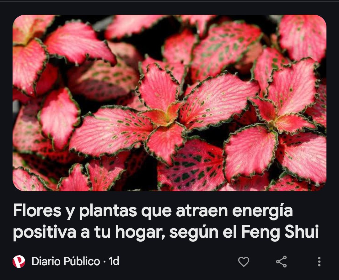 Anarcanine tweet media