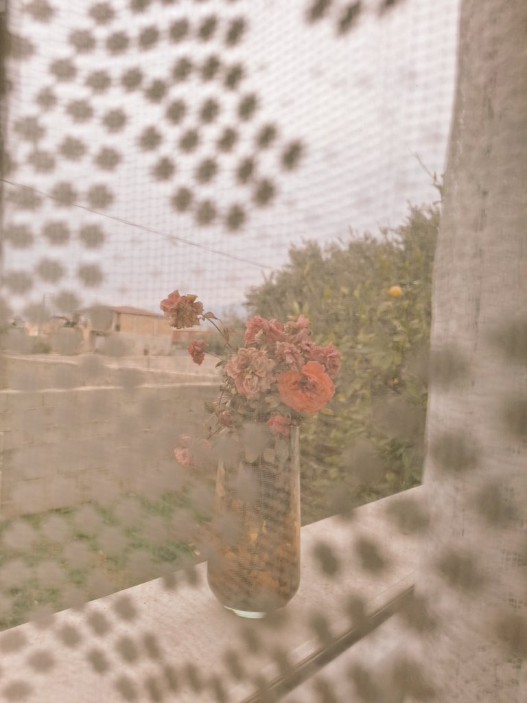 Gül güzel azizim , çokk;)