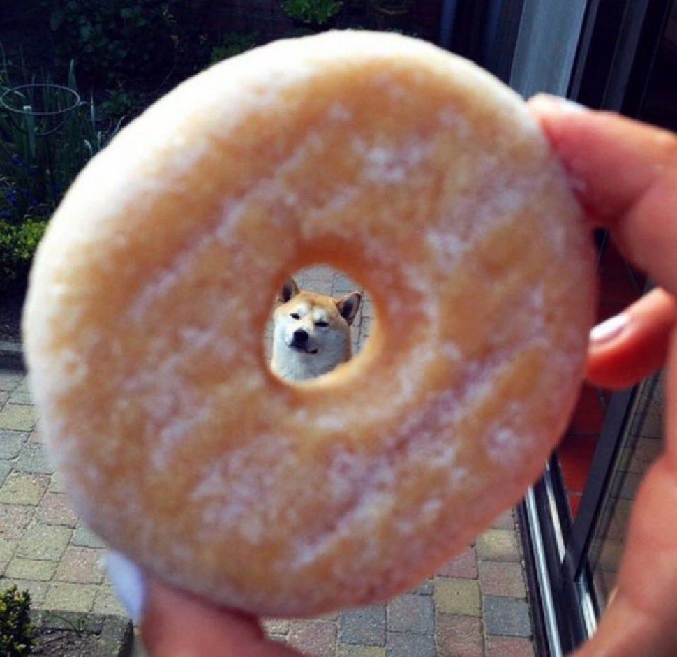 dbdcto's tweet photo. @frankdegods You are going to like the Dog Behind Donut as well $D 

2ZienbepmzYWZJChoMohN2Stnd6RgHXf2NjF3sd8pump https://t.co/oAyr1rVmeX