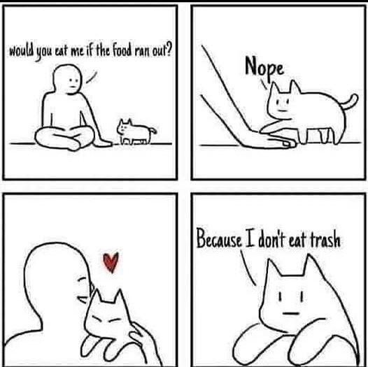 catshealdeprsn's tweet image. 