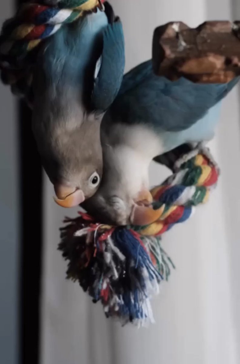 Kadın türü sevildiği her yerde gülmesini beceriyor afferim annem çok güzel eğittim sizi♥️