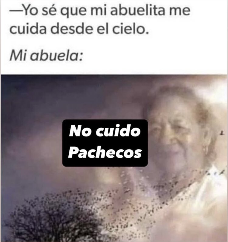 Pali Duchis (@lapaliduchismx) on Twitter photo 