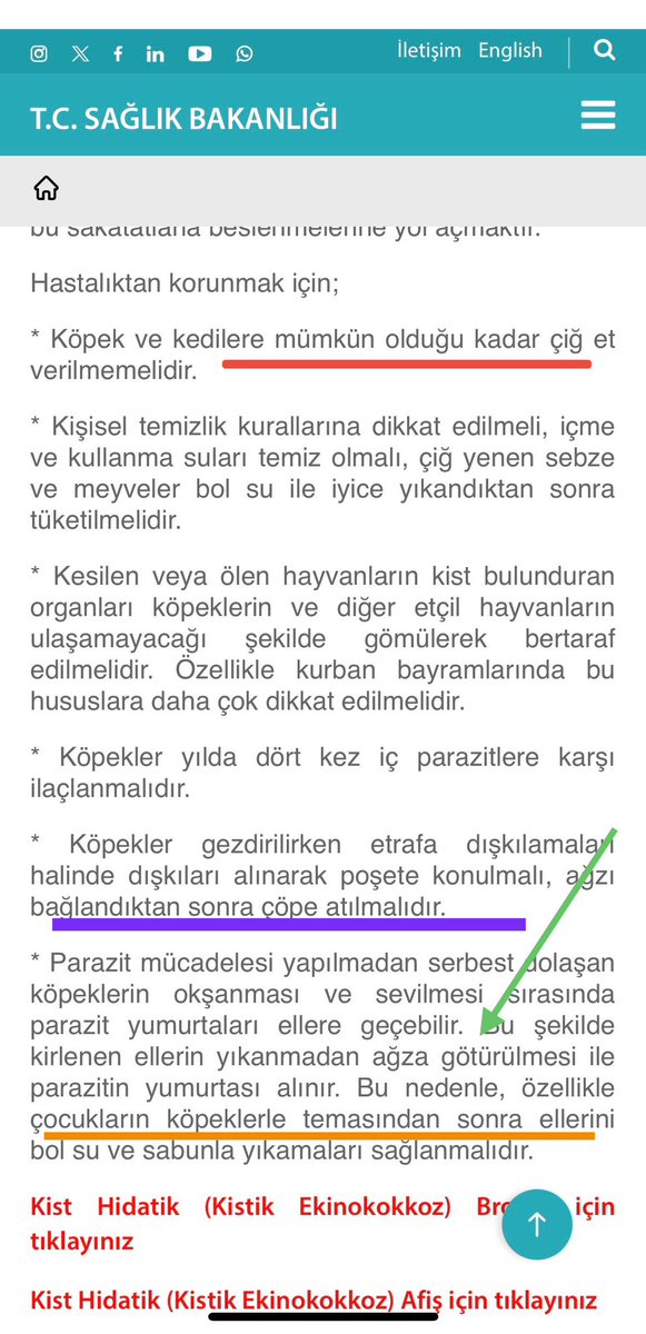 Sağlık Bakanlığı kendi kurumsal sayfasından kist hidatik konusunda uyarı yapıyor ve köpeklerdeki parazitlere dikkat çekerek özellikle çocukları uyarıyor.