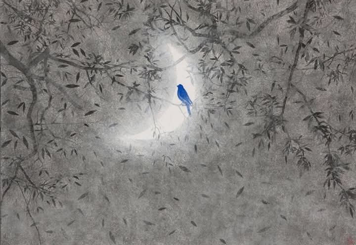 Mavi kuşun rüyası ...🩵