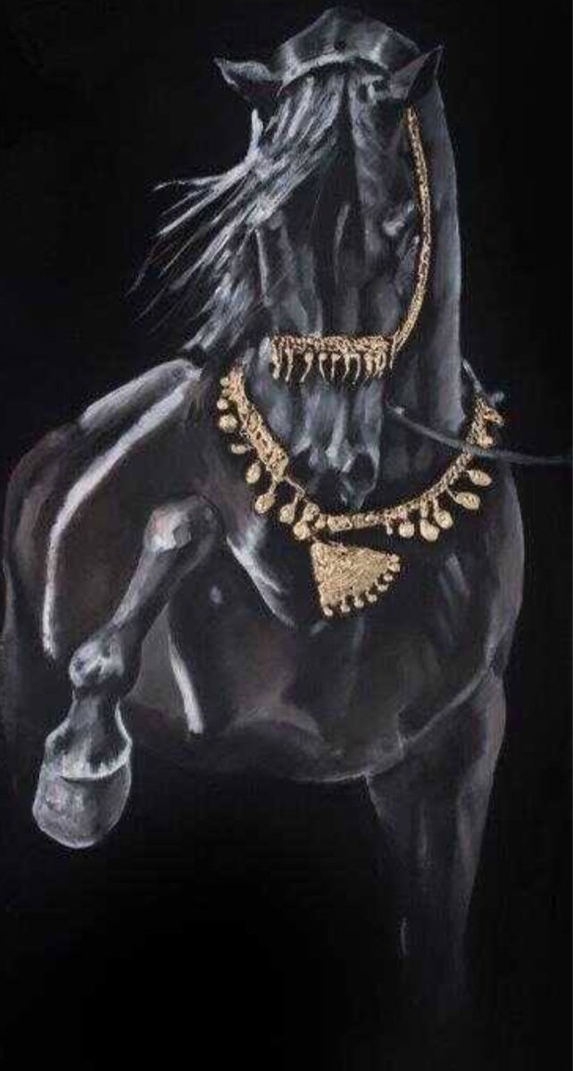 _____________//

             Son defa, bak_________