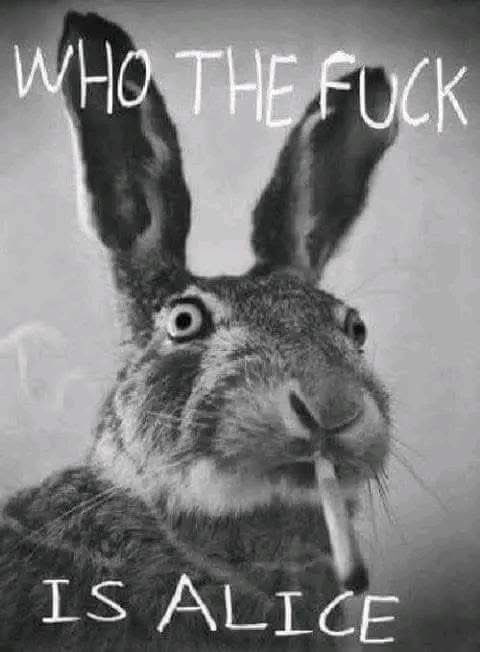 The Fourth Way (@the4thwayyt) on Twitter photo 