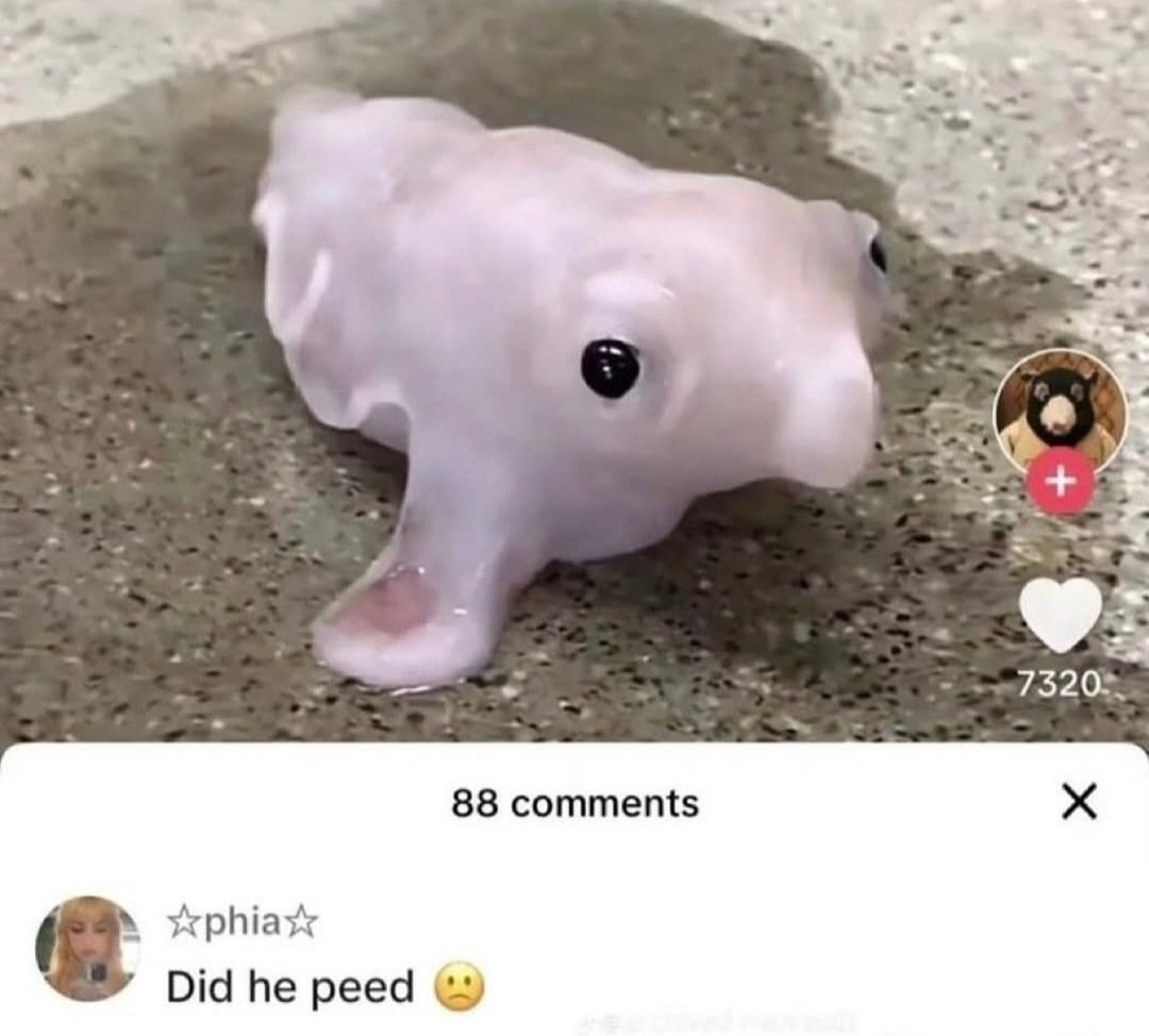 bustingtomisa's tweet image. 