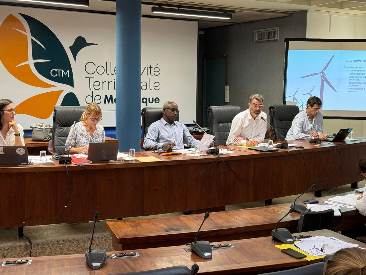 XavierFichau tweet media