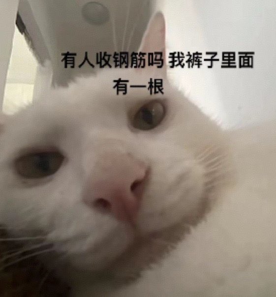 baileichengzi's tweet photo. 情人节快到了啊喂，还不钓我？ https://t.co/mTU1pF0QzX
