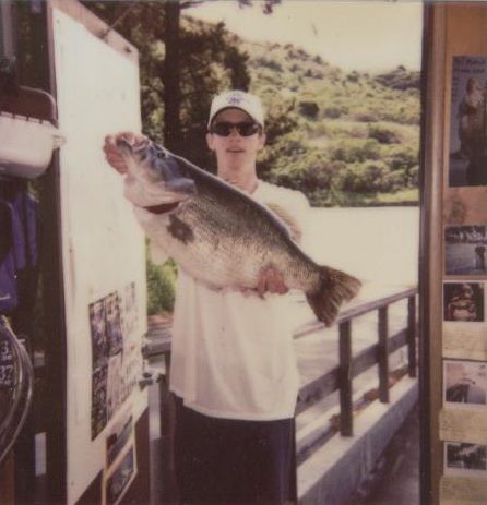 calfishingOG's tweet photo. May 3, 2003 – San Pablo Dam
Fishing for big bass is an odyssey sometimes. Today was definitely an adventure. I woke up late since the forecast called for rain. I was fishing by myself so I loaded up and left the house around 9:30am, arriving at the lake by 10:30. One thing about Pablo is that there are ALWAYS lots of boats in the parking lot, and if they aren’t bass, they are trout guys. Well, today there was one trailer in the whole lot. I could not believe it. I guess the forecast scared people away.
 
I launched the boat and it was calm and warm with a mix of bright sun and clouds. I checked some of my favorite areas and did a lot of flipping and Slammering since the water is way up and there’s lots of cover. I had two big follows on the Slammer but they were not going to bite it, they were just looking. This went on for 2 maybe 3 hours. All day today I felt like I was really in the zone. My boat was working perfectly, I was making the good casts to the good areas. But after a few hours, still nothing to show for it.
 
I decided to hit some other spots and I pulled up on a clump of tullies. A few pitches with a senko and one runs off with it. It was a zippy 4lb 2oz fish. Felt good to get a bite. Just then these raindrops start falling that are just enormous. Big fat rain, but not too heavy. I put on my rain gear and my deck boots and a few minutes later I was glad that I did because it started raining like a dang monsoon. It rained so hard for 30 minutes that there was 4” of water in the bottom of my boat! Even through my raingear, I was soaked up to my armpits. Luckily I kept a spare jacket dry in my cooler :) . Then, just as soon as it started, it stopped and all of a sudden it’s beautiful again. I really think that I was right in the eye of the storm, because it wasn’t windy all day. Even in the pouring rain, there was barely a breeze.
 
When the sun came out I fished fast with the Slammer, trying to get a fish to show itself or give me some clue as to what was going on. I saw a few 5 to 6lb fish sunning on top, but they would bolt when I got near. I did see one nice fish, maybe 12lbs, but it was just cruising. At one point, I was able to sneak up on a 5lber that I sighted from way far off. I pitched a senko at it but it just followed it down and didn’t bite.
 
Finally, I work back around to where I caught the 4 pounder. It’s still very nice out and I actually was wearing just my dry jacket while I let my t-shirt and hat dry in the sun. Then I look and see a nice fish. I’m thinking maybe 8 or 10lbs. I make a few casts towards it with a 5” Big Hammer swimbait and it doesn’t move. The beautiful thing was that even though the water was very murky, I could see this fish in the sun from about 100 feet away. So the fish never knew I was there. I made a few more casts, maybe 4 or 5 casts and the fish was staying there, but not interesting in my bait.
 
Then, as I’m watching, I see another fish move up by this fish. Keep in mind that I had absolutely the most perfect positioning on these fish. I was almost 100 feet away from them. It was so far I could barely make the pitch underhanded, and one thing I know how to do it pitch :) The other fish looked bigger but was very green and hard to see. At this point I realized the first one I was looking at was probably more like 10 or 11lbs. I lined up a cast on the other fish and it didn’t move. The next cast I swam my swimbait in from about 10 feet past the fish and shook it on it’s face. THUMP THUMP. Whoa! I couldn’t believe the fish ate it that quick!! I nailed her good and she ran out towards deeper water. She didn’t come up until she was about 30 feet from the boat and when she rolled I started getting excited because it was definitely a TOAD. I was thinking she was about 12lbs, and then she went and dove under the stern of the boat. I ran back there and coaxed her back out to the side. Grabbed the net and held it between my legs and I led her towards it. She came up really docile by the side and I slid her in, then I dumped the rod, grabbed the net with both hands and lifted her in.
 
So here is where karma comes in to play. About 2 weeks ago I bought a new cooler for my boat. It’s 152 quarts, which is overkill, but dammit, I figured the only fish I am brining in that cooler is going to be a really really big bass, that needs a really really big cooler! That was some good karma. The other karma was that I had about 2” of standing water on my lower deck from the rain. So I just laid her there for a minute (in the deep end of course :) ) while I filled the cooler, then I laid her in the cooler and sprinkled a little catch and release formula on her.
 
I took a minute to try to calm down because I knew she was big. I was thinking now that she was probably 14 to 15lbs. I got the scale and lifted her up. The scale flashed and settled on 17lbs 14oz. I was like WHAT?!!???!!???!?!???!?!! I just stared at it for like 5 seconds waiting for it to go down, but it didn’t. I put her back, held down the power button and zeroed the scale again. I put her back on it one more time and it hung right to 17lbs 14oz again!!! I could NOT believe it. At this point I was starting to lose my mind.
 
I was very close to the ramp and I kind of debated doing the self taken pics and releasing her or taking her in for an official weight. I called B and J and idled closer to the ramp. Then I said, to hell with it, I have a 152 quart cooler, I’m taking her in. I got to the dock, jumped out and ran up and got the truck because there was no way in hell I could carry that cooler full of water up to the marina shop. I pulled out and parked right at the back door. The guy was working by himself and there was literally no one for 100 yards. We drained off enough water to get the cooler over the gunnel and carried it about 50 feet up to the scale. He got the scale ready and I lifted her out and put it on the scale. The scale flashed for a split second and then just pegged at 18.0lbs!!! The guy at the shop was pretty excited and I was just about to pass out. What a fish! She was not super long, but she had this gut on her that was unlike any fish I have ever seen in person.
 
We carried her back to the boat and he helped me get the cooler back in the boat, then I drove down by myself to the ramp. I could have launched and taken her back to her spot, but I didn’t feel like that was in the best interest of the fish. She was doing great and I wanted to keep it that way. I dumped most of the water so I could get the cooler out of the boat, just about killing myself in the process, then I snapped one pic in the cooler, took her out and released her. She was awesome, she just pointed out and swam off steady and strong. I snapped two quick pics as she headed out. One day this bass will be 20lbs. I know it in my heart. Letting her go was one of the awesome moments in my life. The stars really lined up for me today.
 
I did forget to measure the fish, which I am really upset about. Based on the pics in the cooler and working with N, we are estimating that the fish was between 26 to 27” long and had a girth of around 27”. For your reference, the cooler is 14” across the bottom, and 37” long. Each little panel along the side is 4 and ¼”long, not counting the groove between the panels. I know myself when I look at the pic of me holding the fish, it doesn’t look like an 18lb bass, but if you could just see the massive girth on her, like you can kind of get a feel for in the cooler pic, she was really something.
 
Here is the gear
 
5" #36 Prizm Shad Big Hammer Swimbait - I opted for a natural bait because I was not sight fishing in the sense that I could see my lure
 
Castaway FR76 Flippin Stick
Shimano Curado 200b
20lb Triple Fish Camoescent line
luck - lots of it
 
Catch and Release Forever

What worked: 5” Big Hammer Swimbait

https://t.co/8M1SYYpCfH

Where did you fish? San Pablo Dam

https://t.co/gZ8qLmVFyX