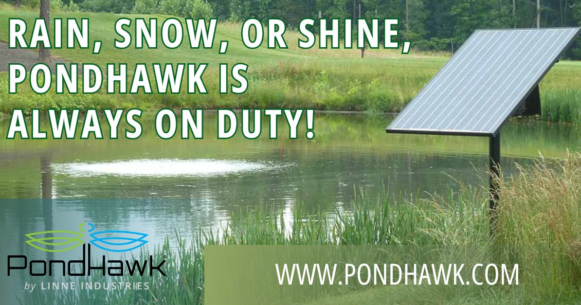 SolarPondHawk's tweet image. Your pond’s year-round guardian!  social.pondhawk.com/QVh4 #StormwaterSolutions #pondaerators #greenkeeping #greenkeeper #golfmanagement #ngcoa #gcsaa #hoamanagement #golfcoursesuperintendent #stormwater #stormwatermanagement