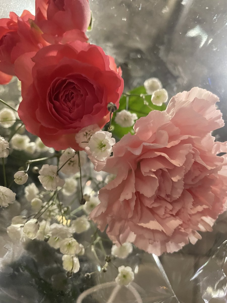 m_m722k's tweet photo. お花うれしい😽💖 https://t.co/94t57JRdww