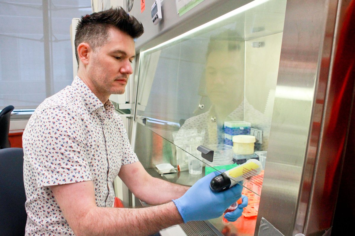 Illumina (@illumina) on Twitter photo Meet <a href="/LiddelowSA/">Shane Liddelow 🍊</a>, a neuroscientist at NYU Langone Health who is using the new Illumina Single Cell 3’ Prep to investigate a challenging target: astrocytes. With the flexibility of our new technology, the team can sequence 2,000 cells just as easily as 200,000—and it allows them Meet <a href="/LiddelowSA/">Shane Liddelow 🍊</a>, a neuroscientist at NYU Langone Health who is using the new Illumina Single Cell 3’ Prep to investigate a challenging target: astrocytes. With the flexibility of our new technology, the team can sequence 2,000 cells just as easily as 200,000—and it allows them