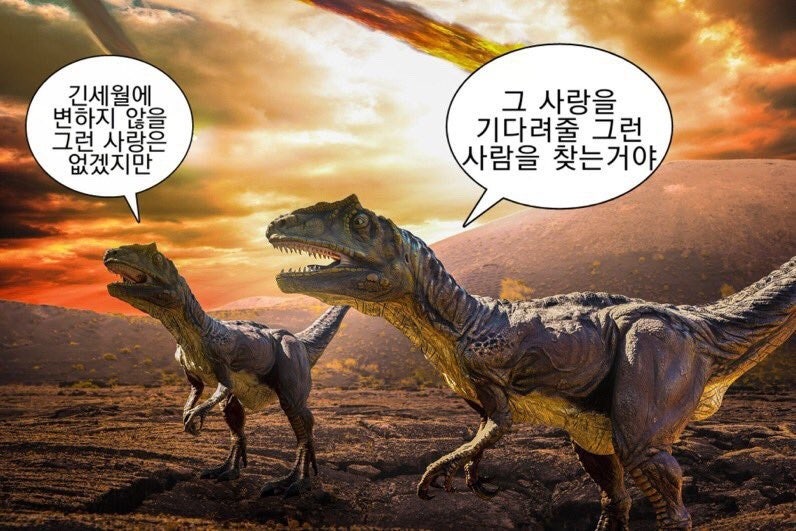 horang_222222's tweet photo. https://t.co/3dckSbqIZH