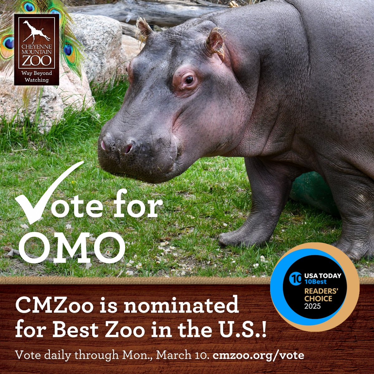 CheyenneMtnZoo's tweet image. cmzoo.org/vote
CMZoo has once again been nominated for Best Zoo in USA TODAY's 10Best Readers' Choice Awards! Vote daily for CMZoo at until 10 a.m. MT on Mon., March 10.
A vote for CMZoo is a vote for Omo. Show some love for our spunky 3-year-old…