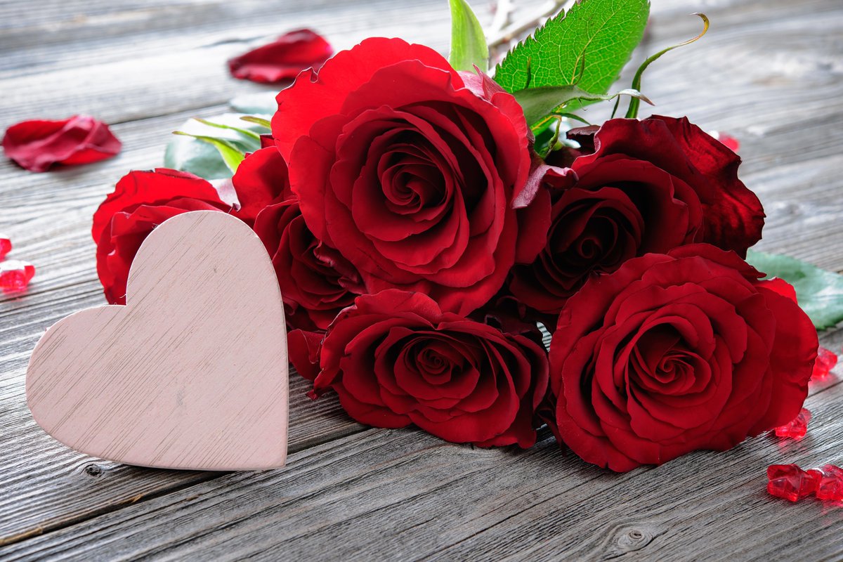 Don't forget, Valentine's Day is this Friday and today (Monday) is the last day to purchase roses from the NWC Student Nurses Association. Presale is today from 11 a.m. - 1 p.m. in the student center and pickup is Friday between 10 a.m. and 2 p.m. Cash, check, and Venmo accepted.