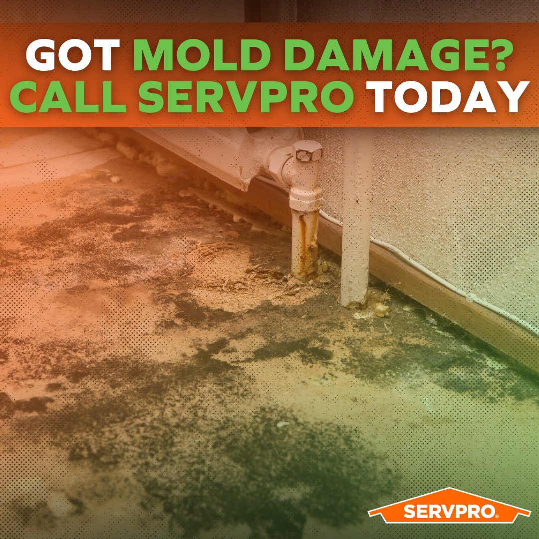 Visible mold is just the tip of the iceberg. 🧊 SERVPRO’s experts identify and restore hidden mold damage to keep your home safe and sound. 🏡 #MoldRestoration #SERVPROCares