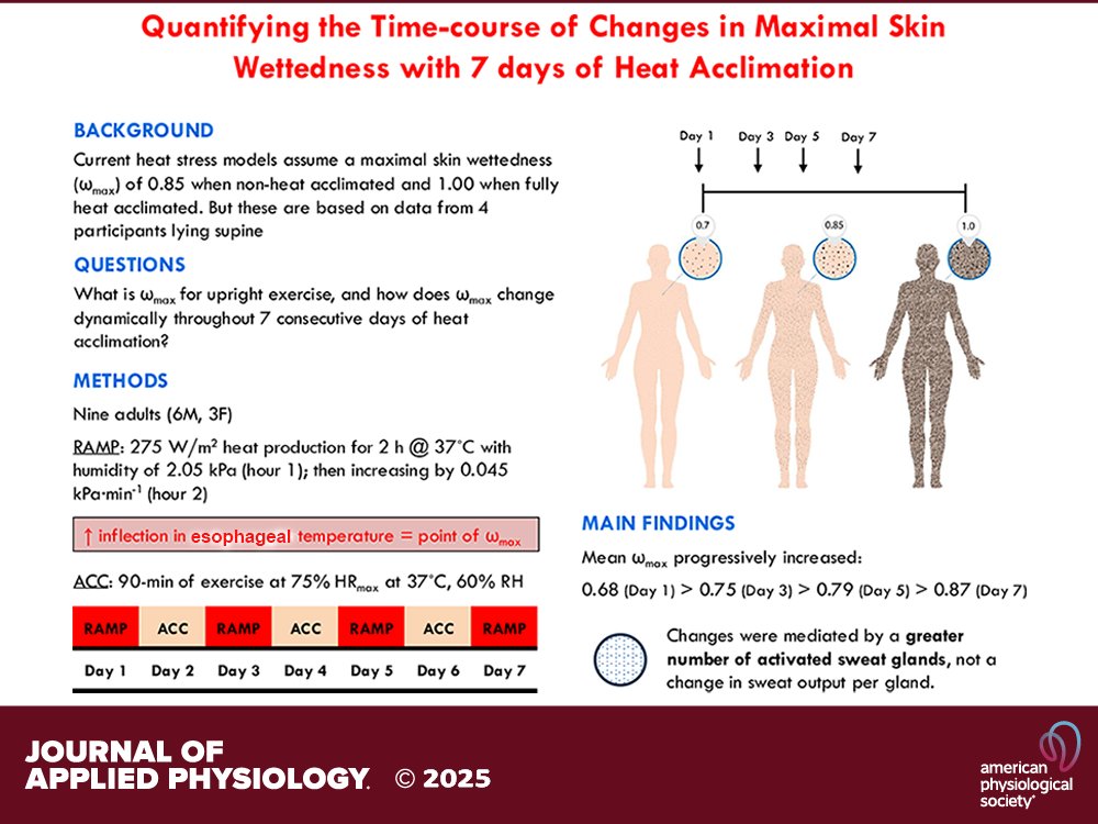 Research Article from GP Lynch et al. (<a href="/ollie_jay13/">Ollie Jay</a> <a href="/Sydney_Uni/">University of Sydney</a>) Quantifying the time course of changes in maximal skin wettedness with 7 days of heat acclimation ⌚🥵 #thermoregulation
🔗ow.ly/F4lZ50UKugW