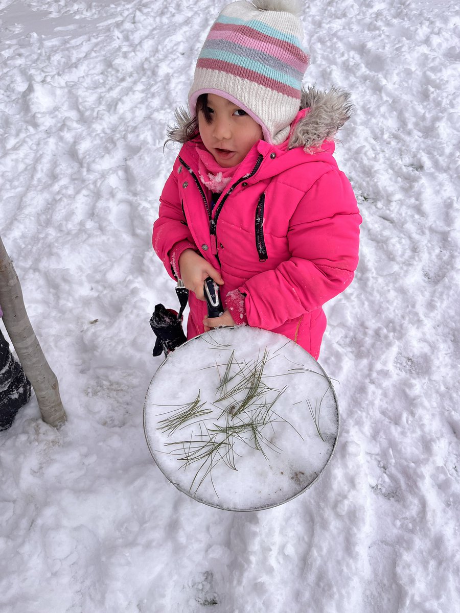 Ms. Ricci (@ms_aricci) on Twitter photo Snow scrambled eggs, snow art, snow sledding and more with the beautiful weekend snowfall ❄️🌨️ <a href="/StCeciliaHCDSB/">StCeciliaHCDSB</a> Snow scrambled eggs, snow art, snow sledding and more with the beautiful weekend snowfall ❄️🌨️ <a href="/StCeciliaHCDSB/">StCeciliaHCDSB</a>