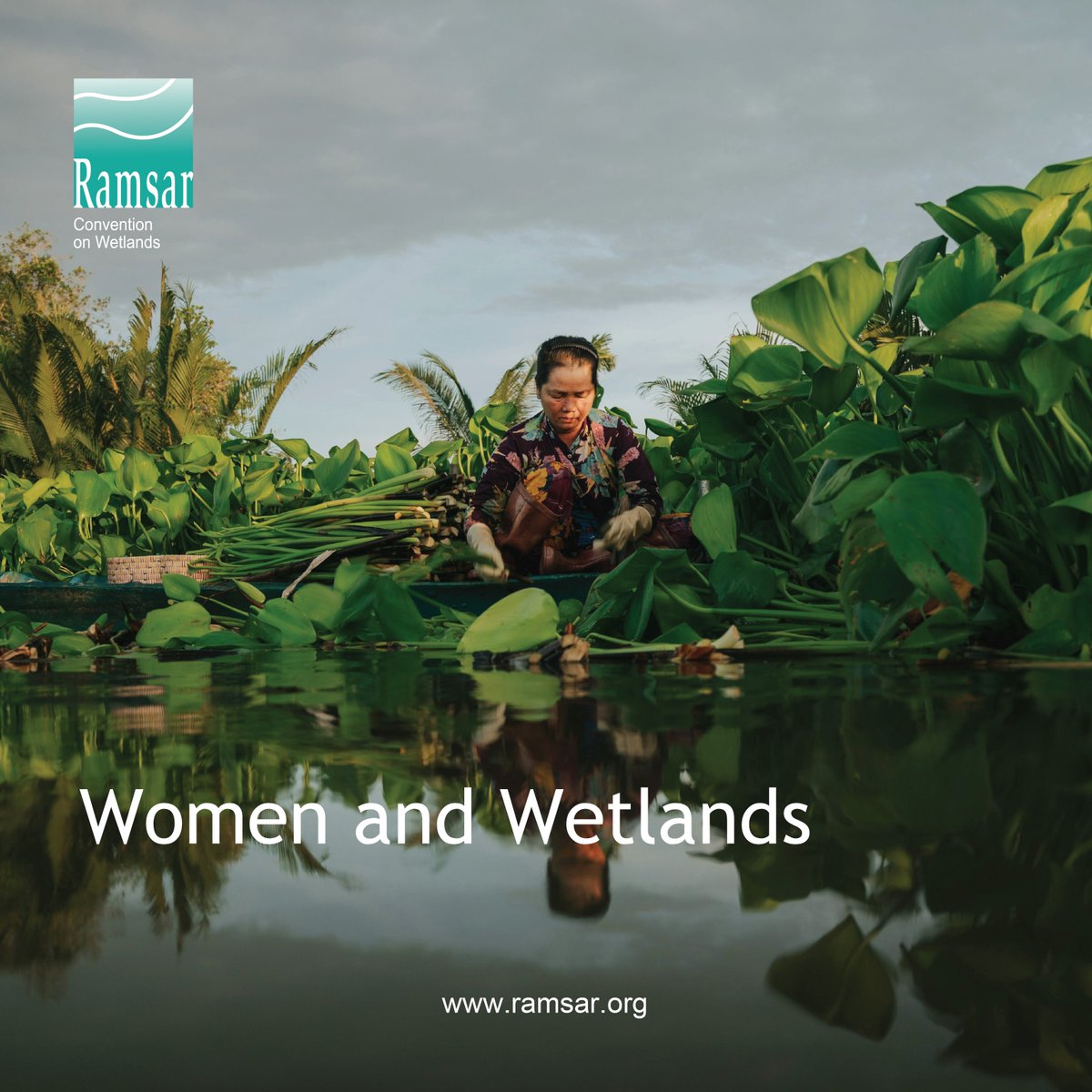 Women are driving conservation efforts on the ground; they are restoring degraded ecosystems that bring back biodiversity. Unfortunately, this recognition is not followed by rewarding actions.

🌐We need to amplify their impact!

#WomenAndWetlands #WomenChangeMakers