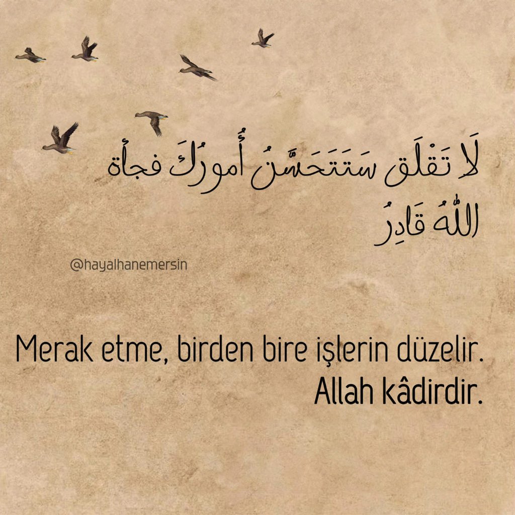 Hayalhanem (@hayalhanemersin) on Twitter photo 