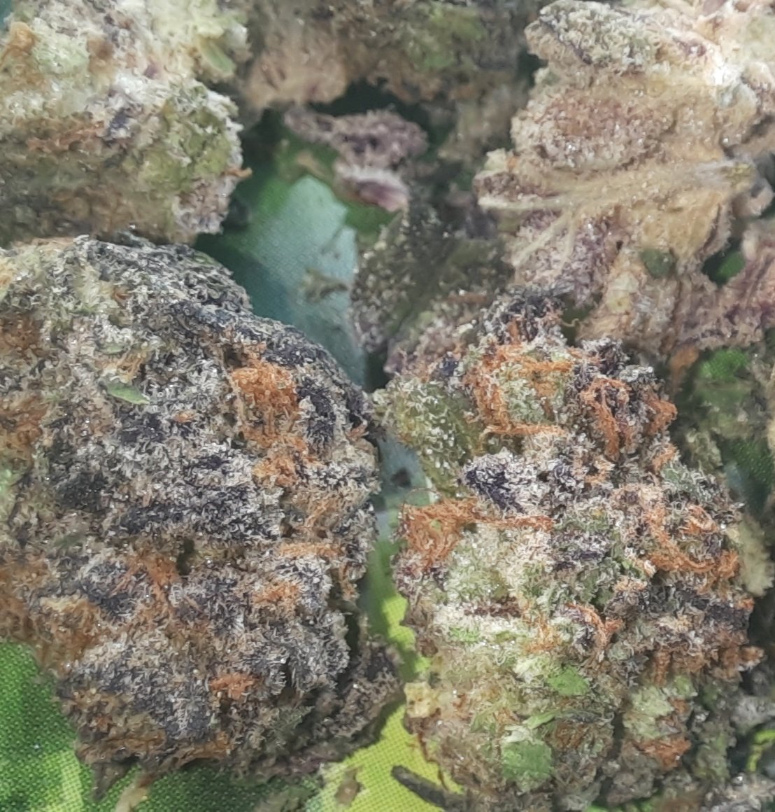 dashman32 (@dashu3232) on Twitter photo This peanut butter breath is frosty than Antarctica. I know ppl be hating on <a href="/CryptoChronicX/">DIESEL DISPENSARY</a> but this shit is straight 🔥 and has a heavy ass couch lock high.. and it's their lowest tier 🤯 shout to <a href="/CryptoChronicX/">DIESEL DISPENSARY</a> for the 🔥 budget smoke! 💨 This peanut butter breath is frosty than Antarctica. I know ppl be hating on <a href="/CryptoChronicX/">DIESEL DISPENSARY</a> but this shit is straight 🔥 and has a heavy ass couch lock high.. and it's their lowest tier 🤯 shout to <a href="/CryptoChronicX/">DIESEL DISPENSARY</a> for the 🔥 budget smoke! 💨